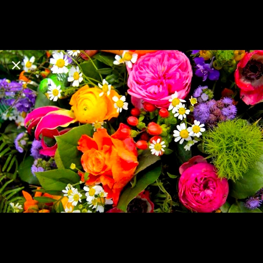 Meet your Posher, Ri